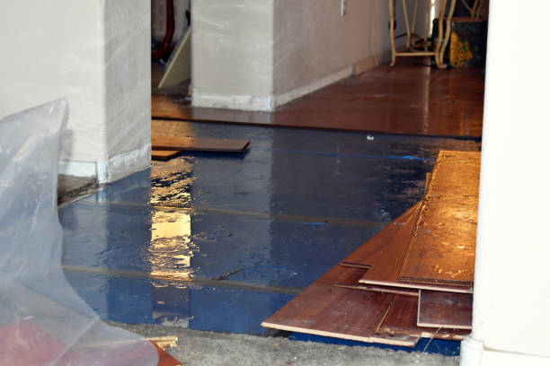 Professional Water Damage Repair technician working in Campbell, TX
