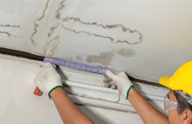 Reliable Water Damage Repair contractor in Campbell, TX by Hirex Water Damage
